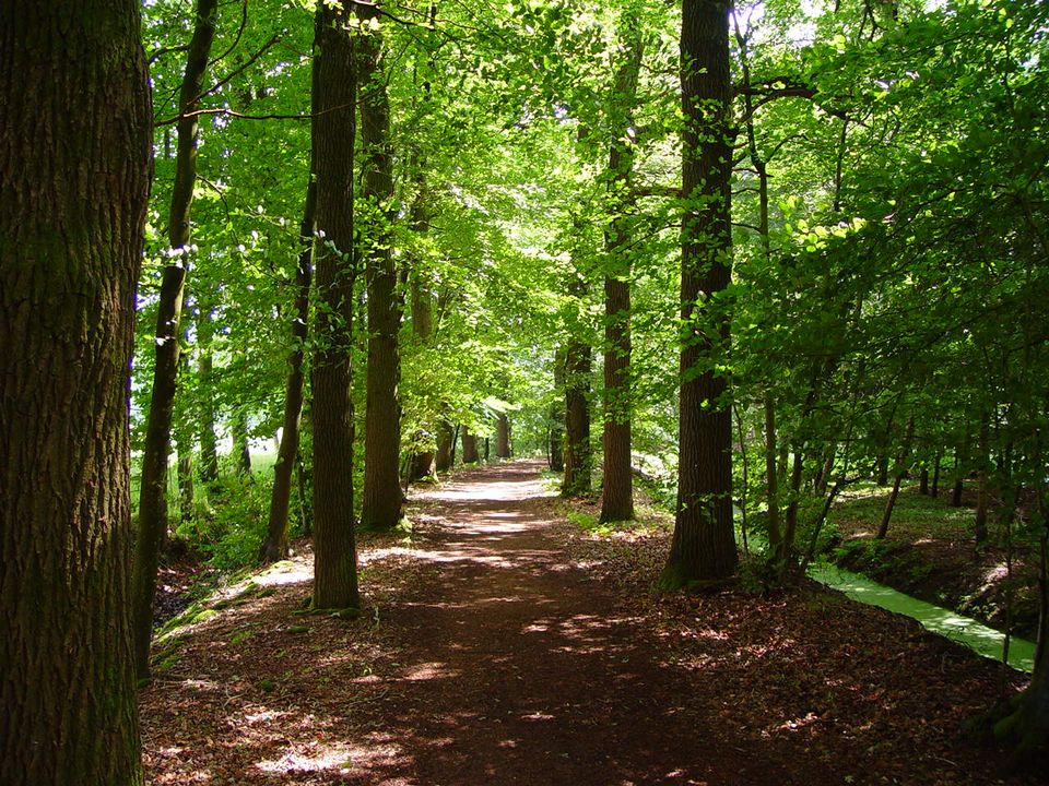 Nationaal Park Utrechtse Heuvelrug