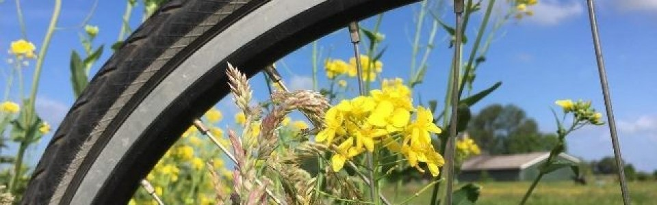 Fietsen langs Rustpunten